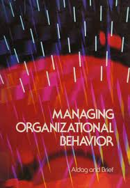 Understanding and managing organizational behavior 