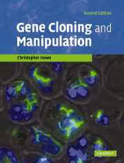 Gene cloning and manipulation