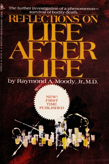 Reflections on life after life 